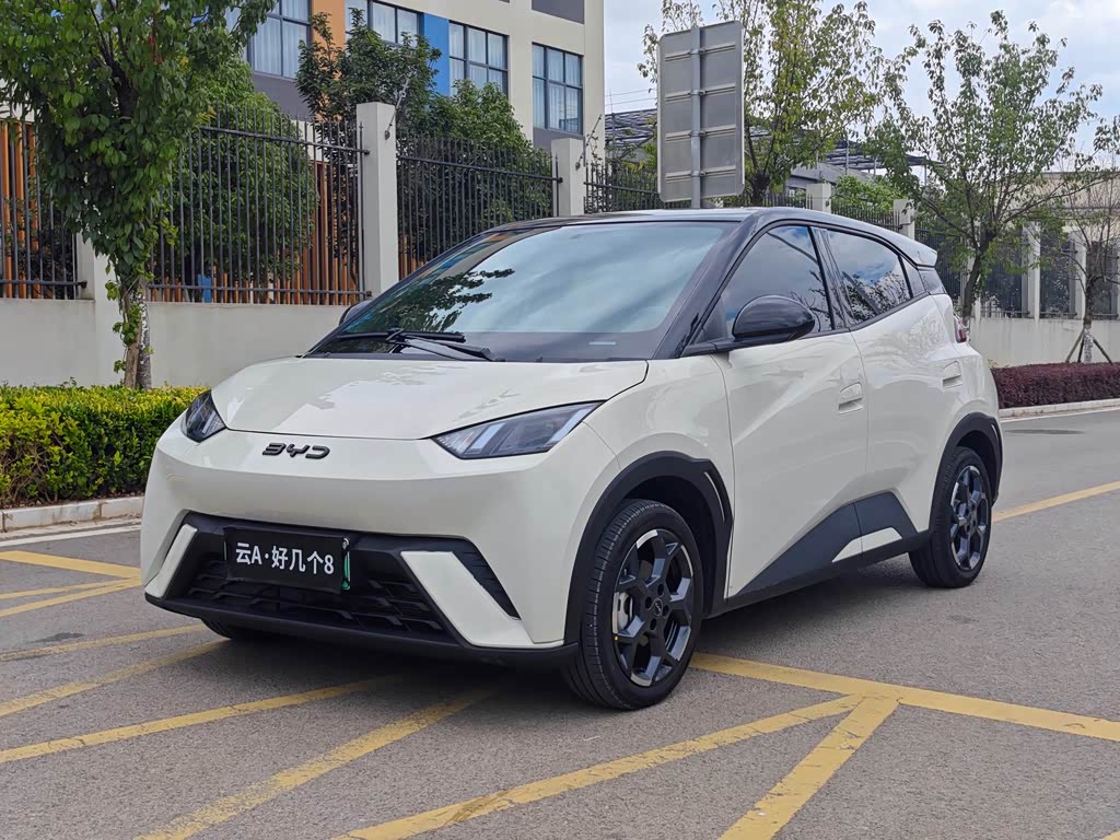 BYD Seagull