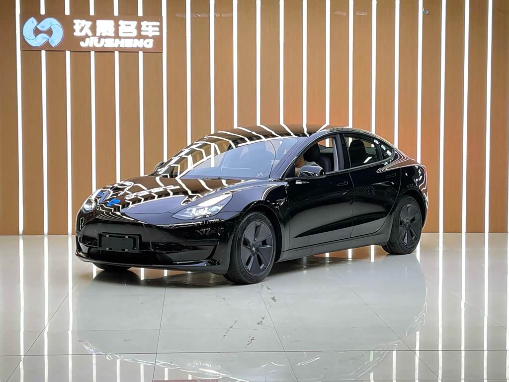 Tesla Model 3 2021 3D6