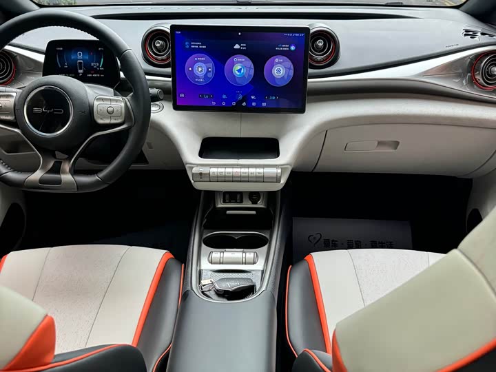 BYD Dolphin 2021 405km zi you ban