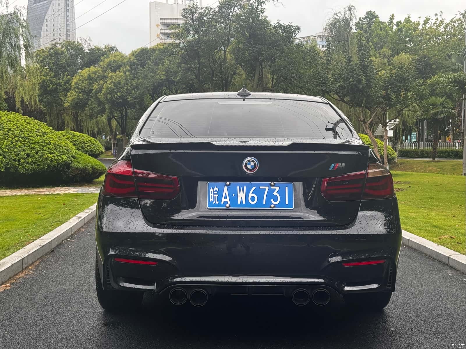 BMW 3 Series, 2016 все фото