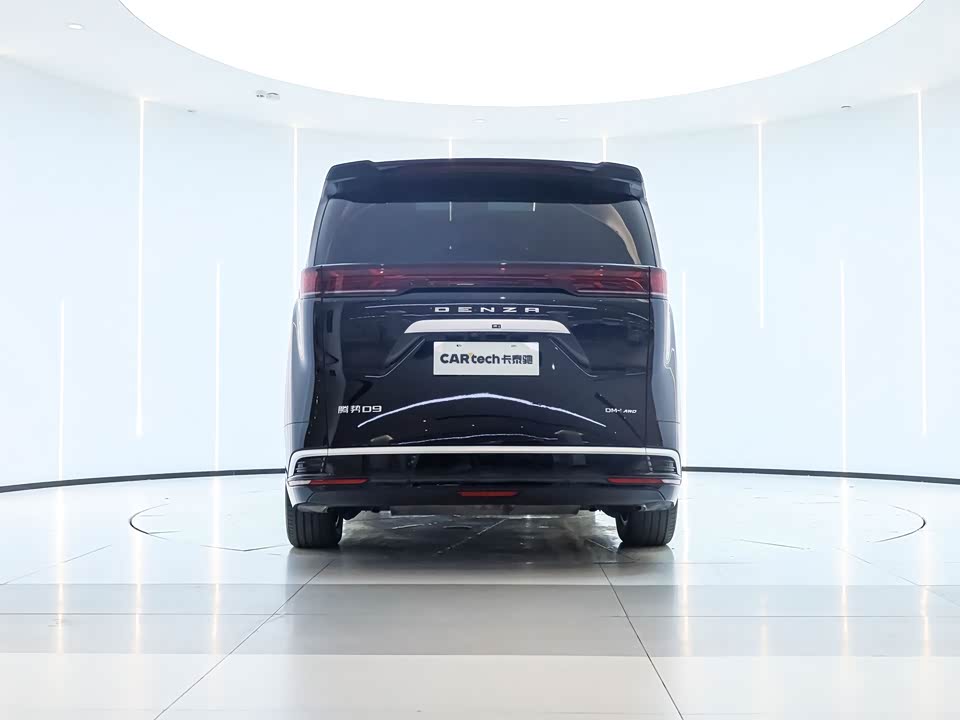 Denza D9
