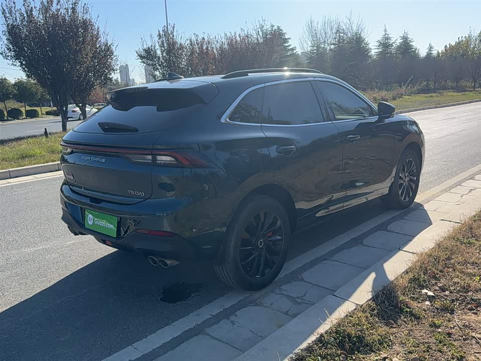 Forthing Popular T5 EVO