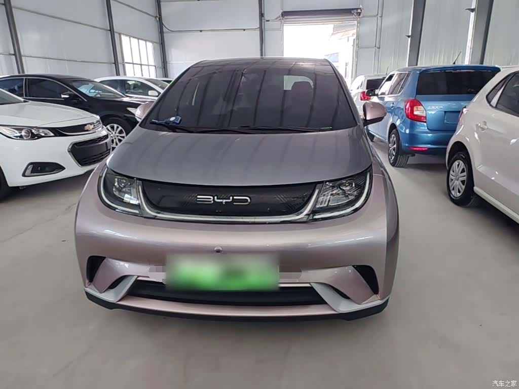 BYD Dolphin, 2022 3
