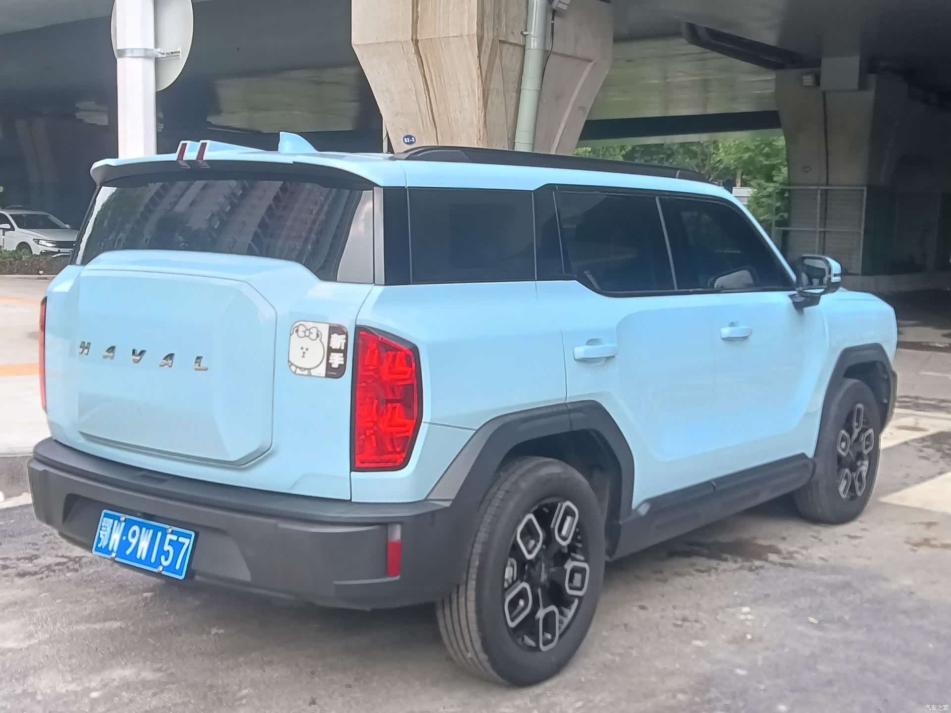 Haval Cool Dog, 2022 17
