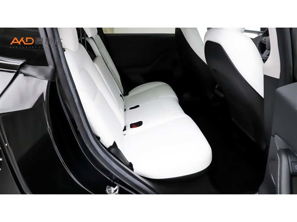 Tesla Model Y, 2023 8