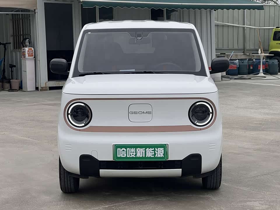 Geely Galaxy panda