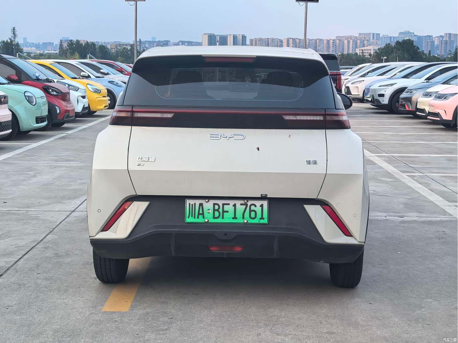 BYD Seagull, 2024 все фото