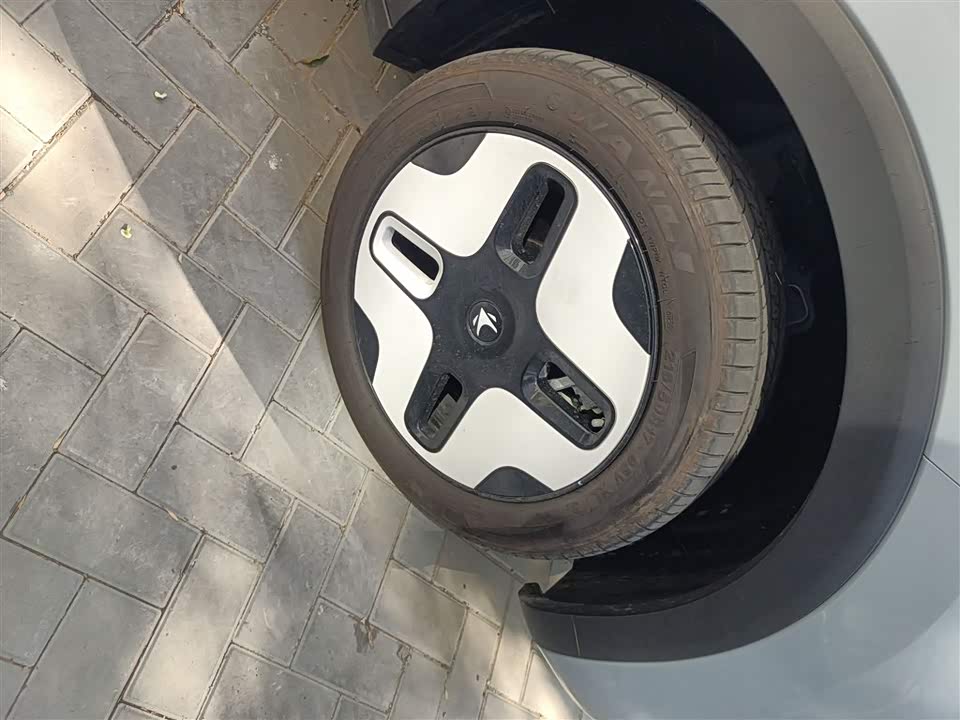 ARCFOX Polar Fox Koala S