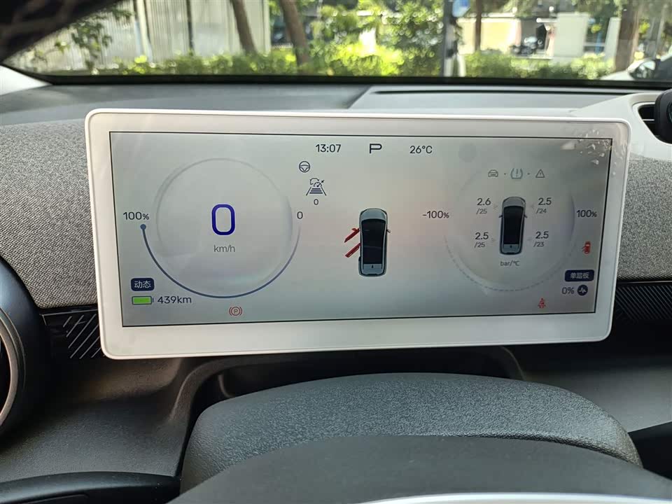 ARCFOX Polar Fox Koala S