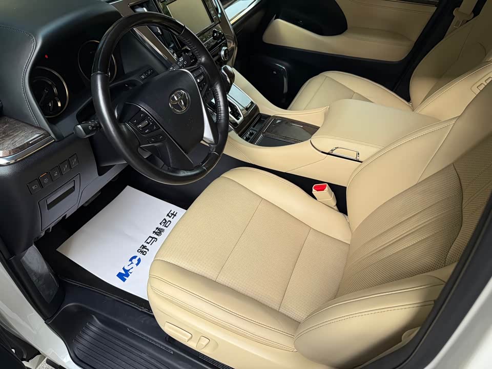Toyota Elfa