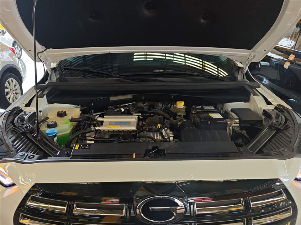 Trumpchi Trumpchi GS4