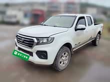 �翥7 2020�� 2.0T���������¹ھ��湫���ʹ�˫GW4D20M