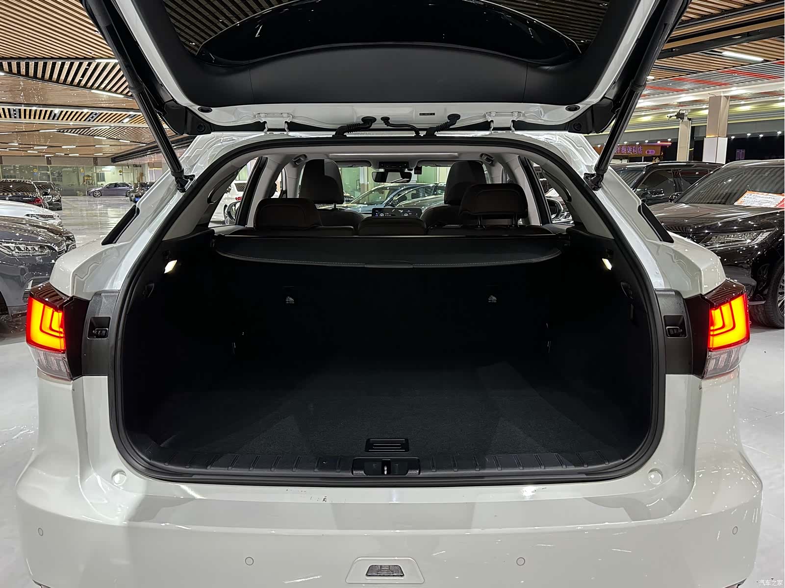 Lexus RX, 2022 10