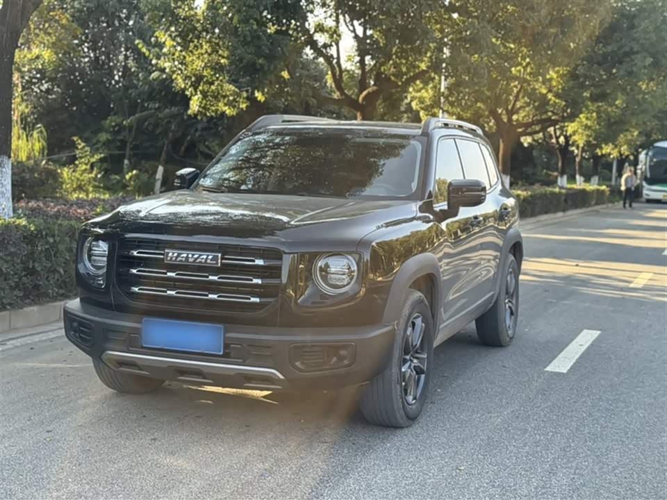 Haval Big dog