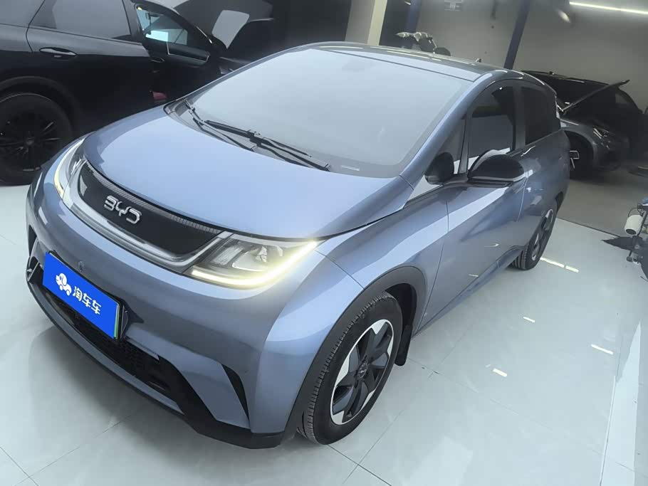 BYD Dolphin
