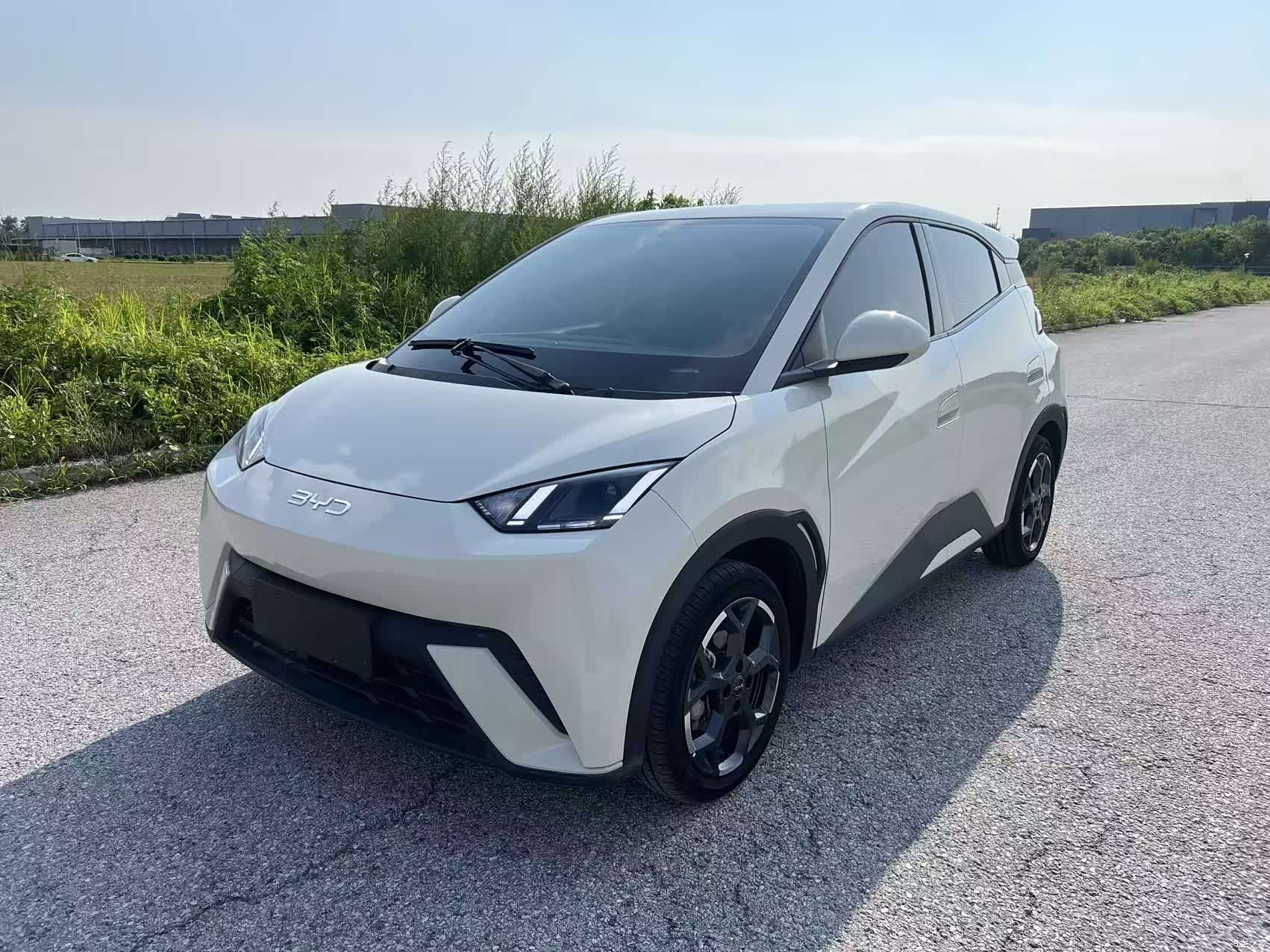 BYD Seagull, 2024 1