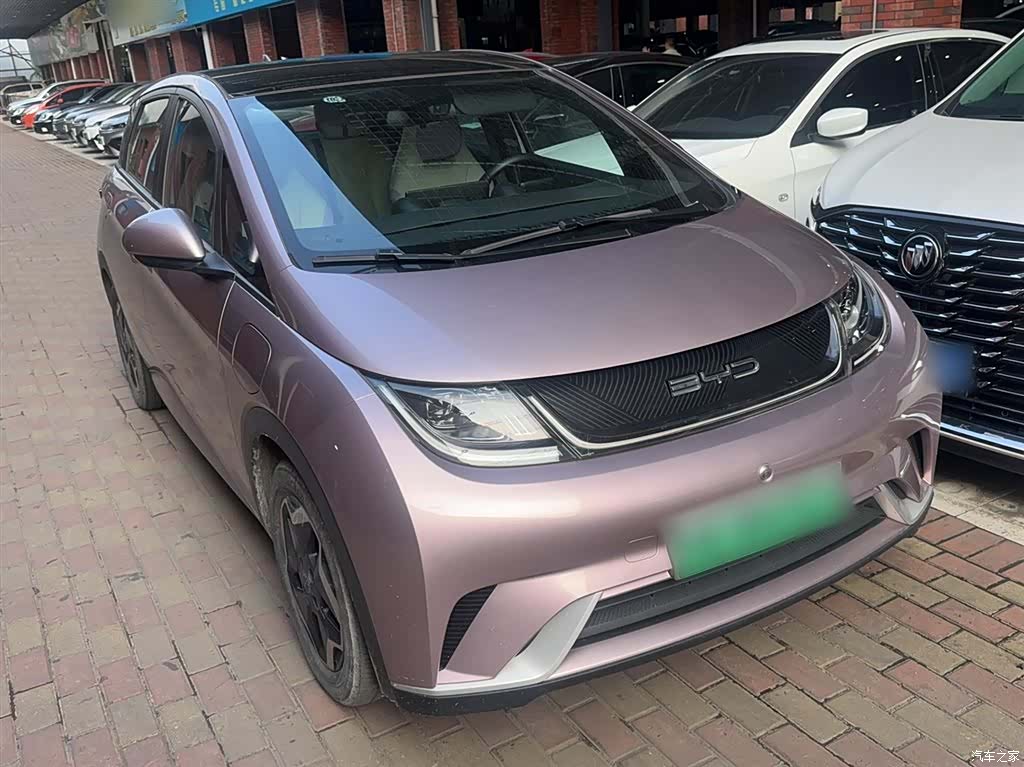BYD Dolphin, 2022 25