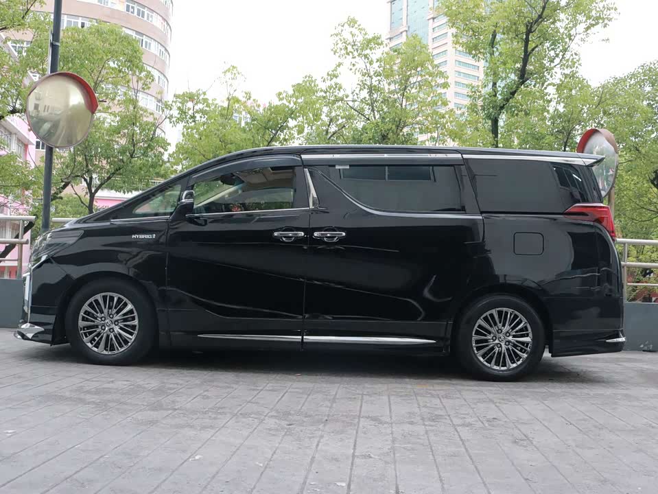 Toyota Elfa