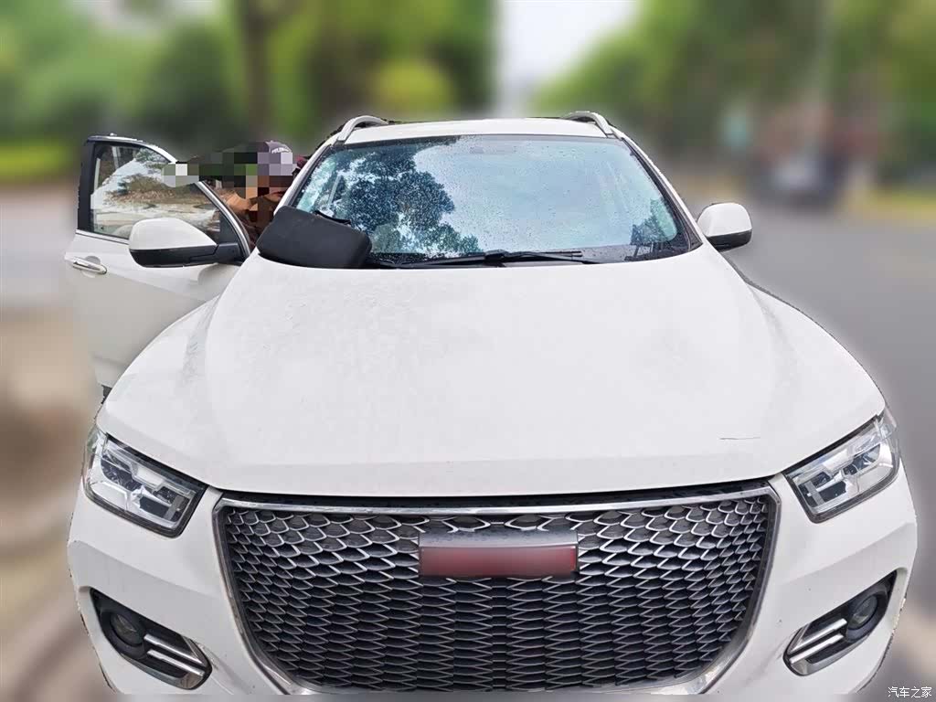 Haval H2, 2018 24