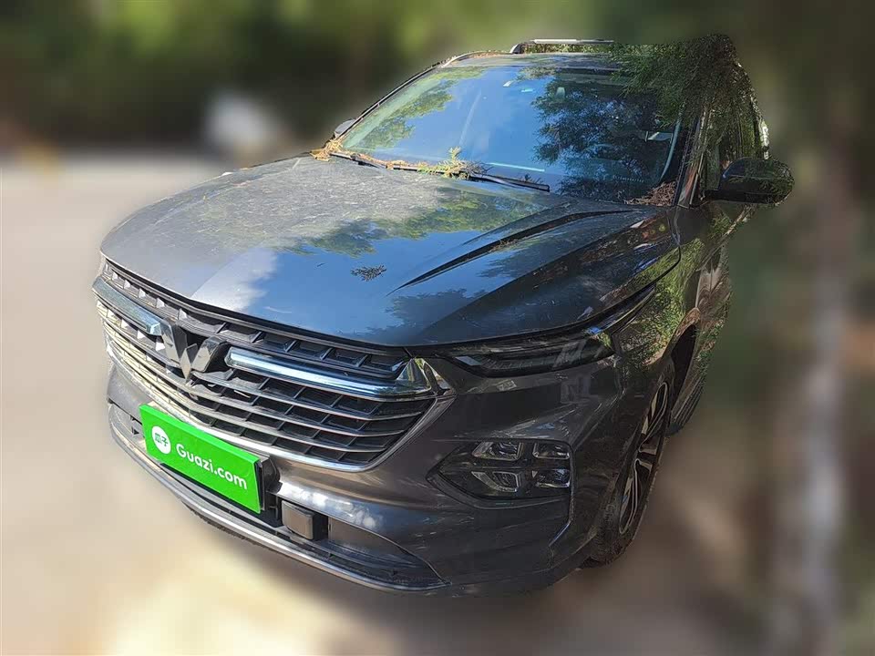 Wuling Wuling Capgemini
