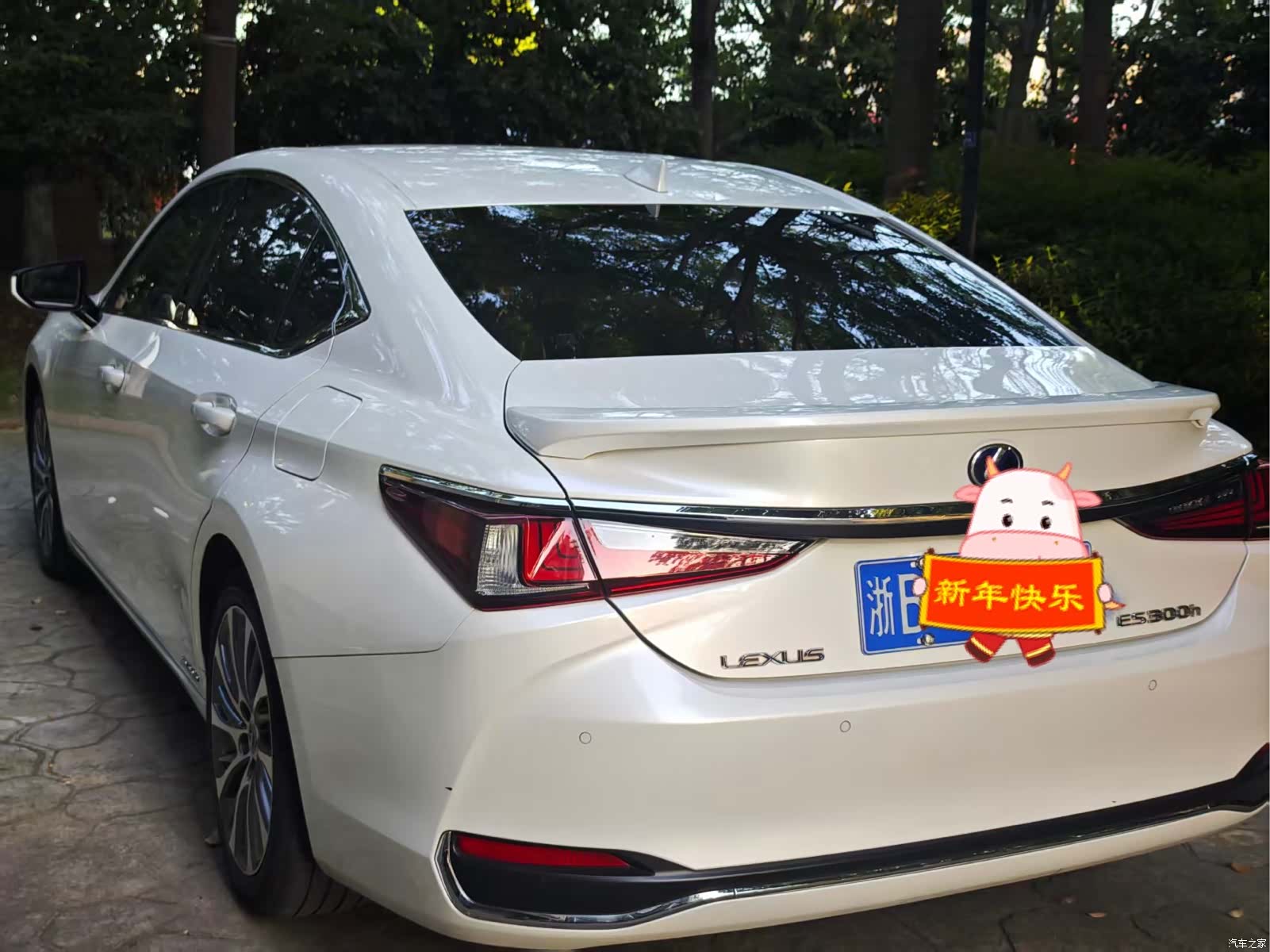 Lexus ES, 2021 7