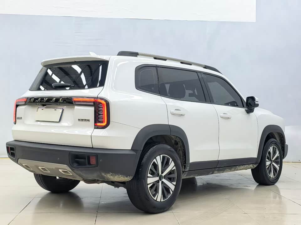 Haval Big dog