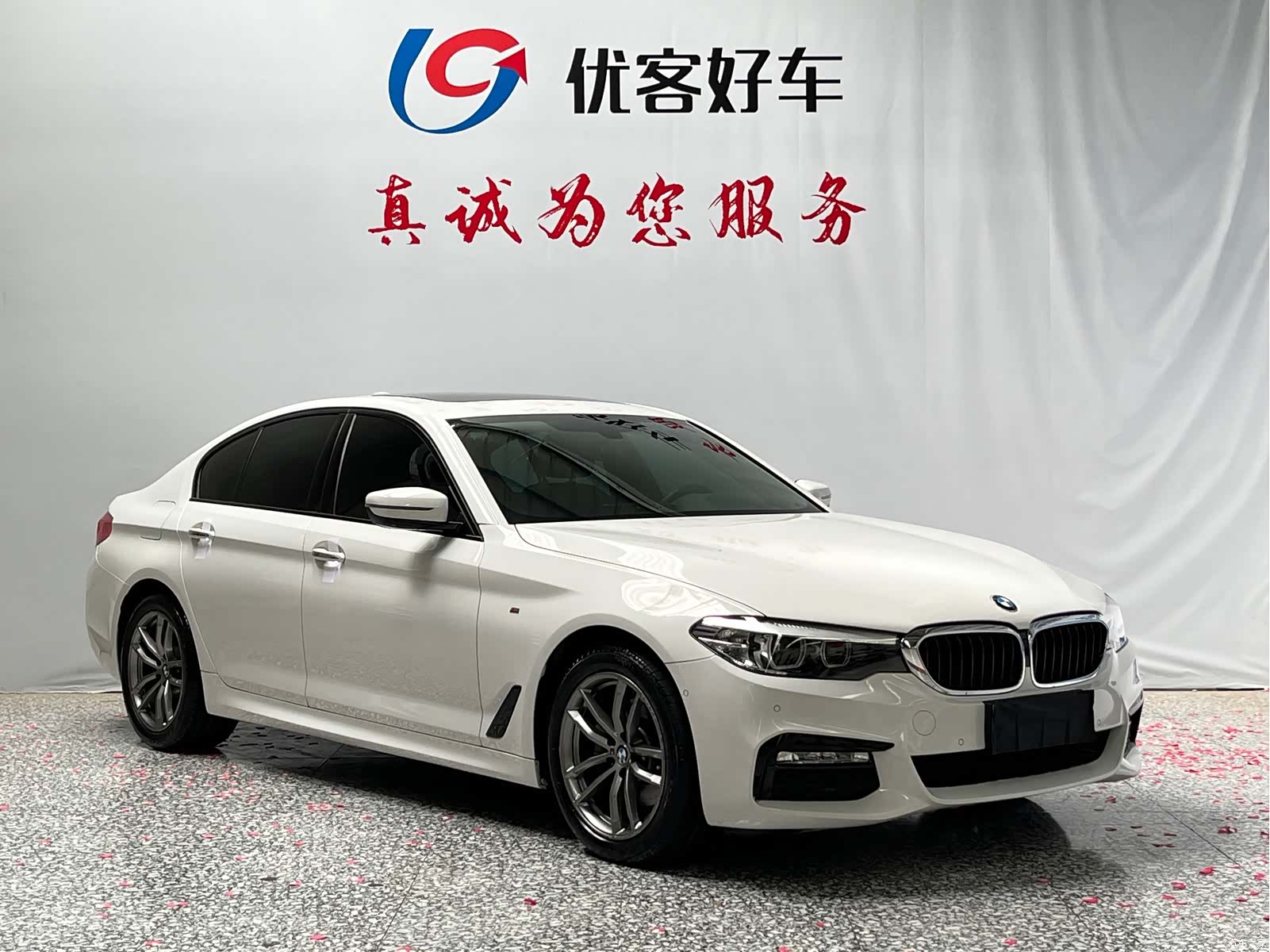 BMW 5 Series, 2018 3
