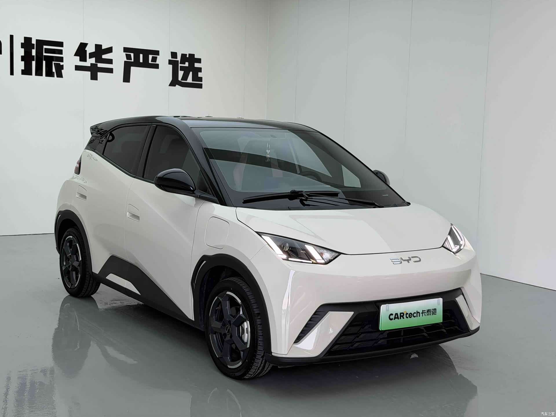 BYD Seagull, 2024 3