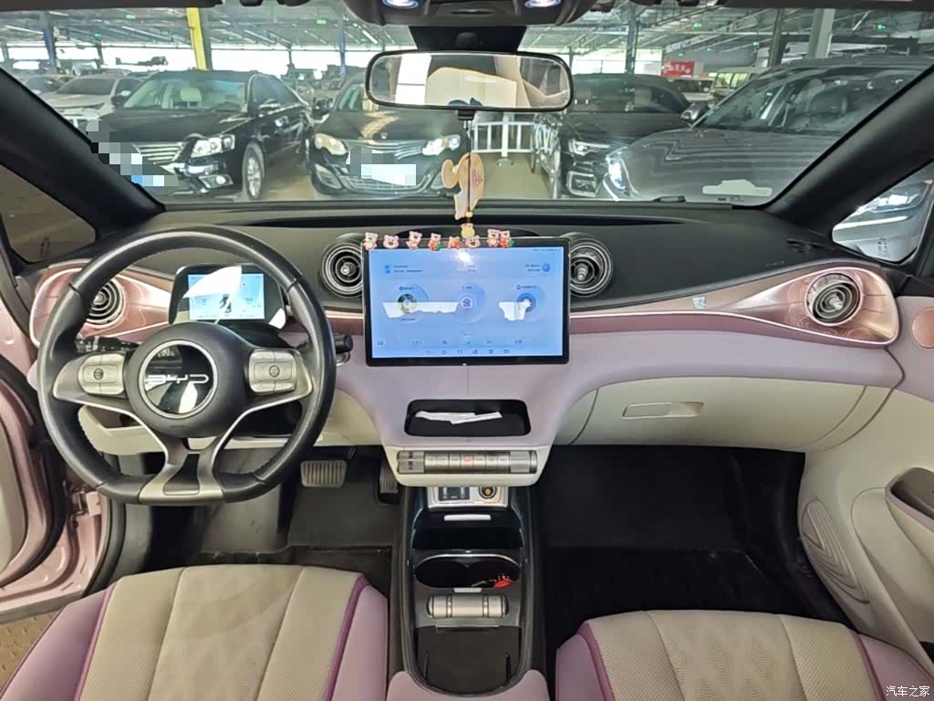 BYD Dolphin, 2023 10