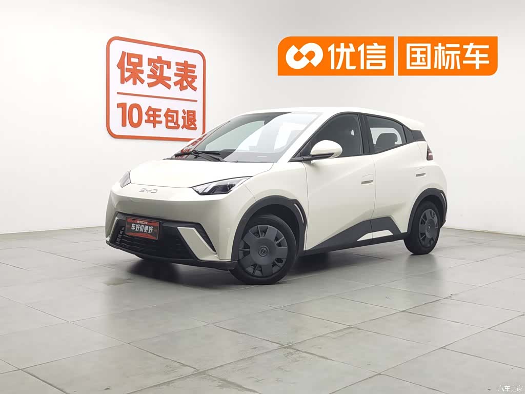 BYD Seagull, 2024 1