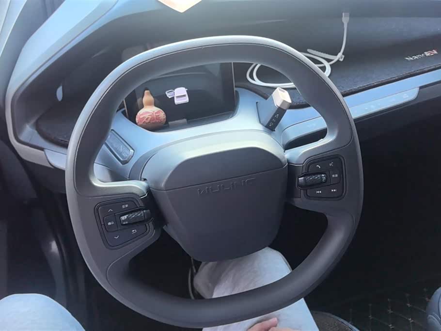 Wuling Wuling NanoEV