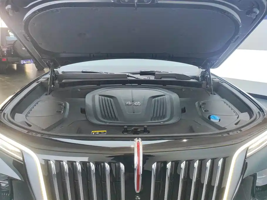 Hongqi E-HS9