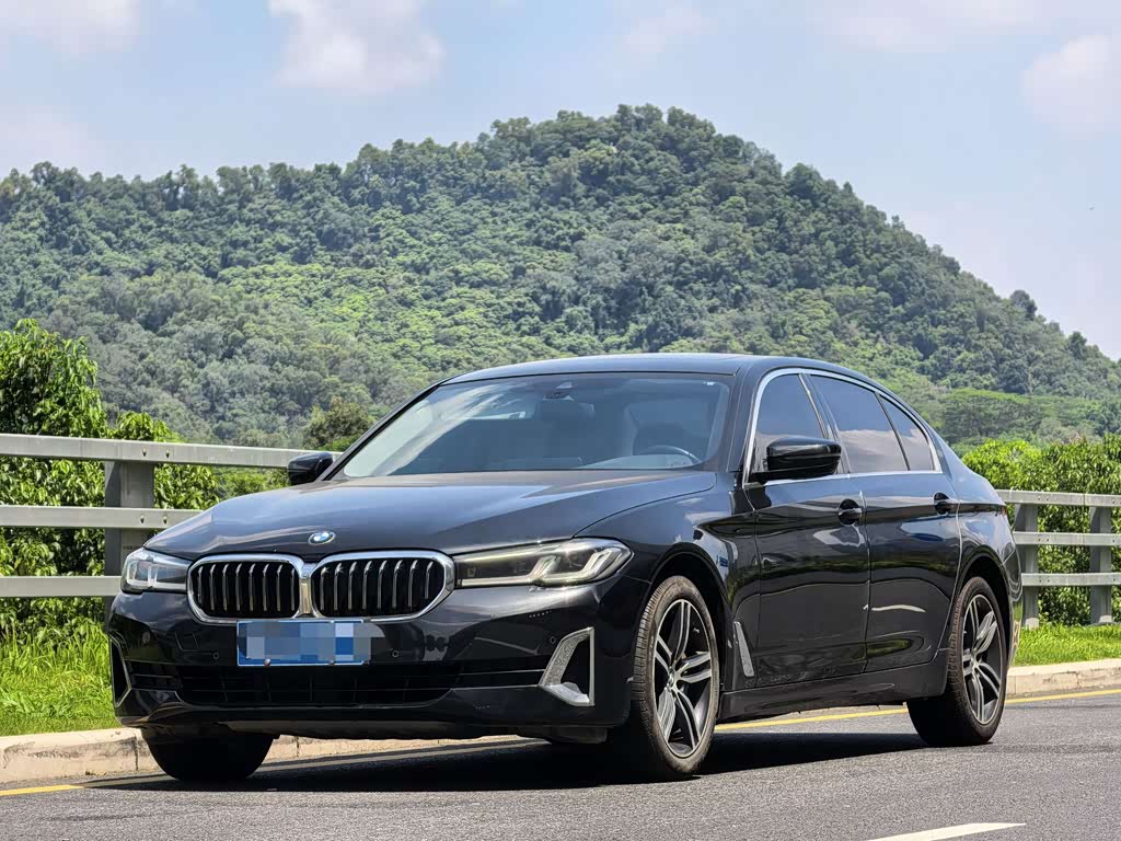 BMW 5 Series 5 2021 530Li Lead Luxury