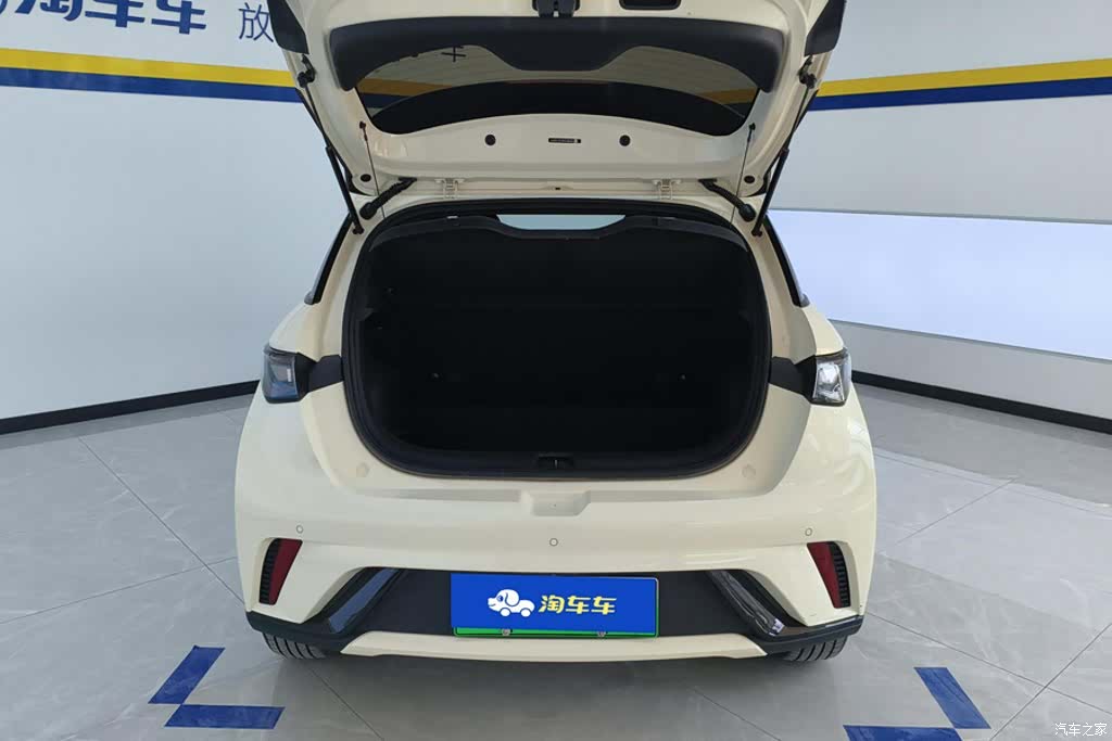 BYD Dolphin, 2024 4