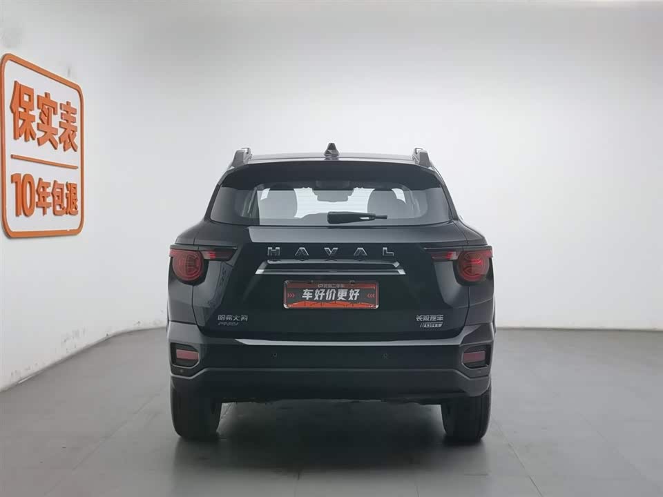 Haval Big Dog PLUS