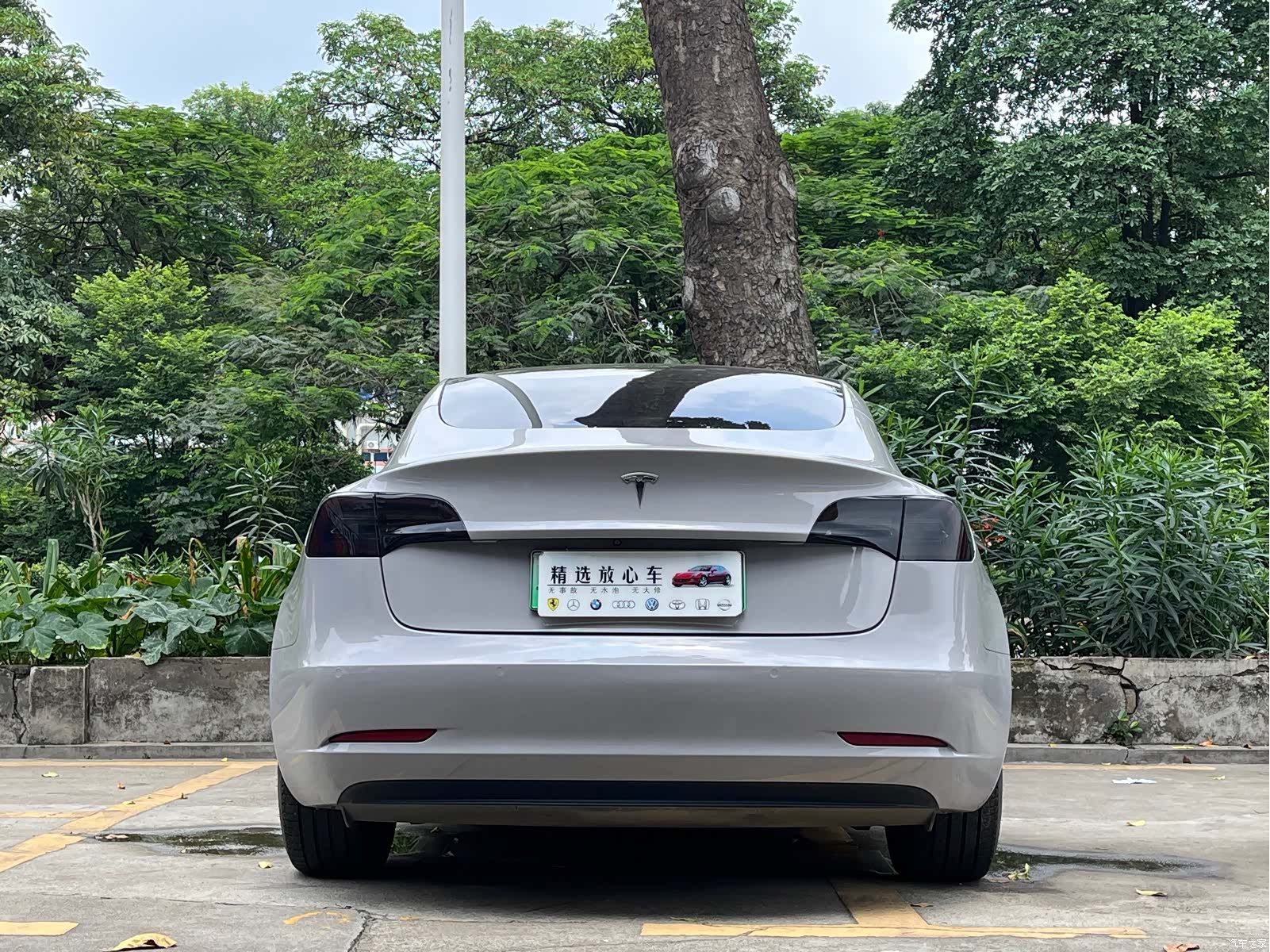 Tesla Model 3, 2023 все фото