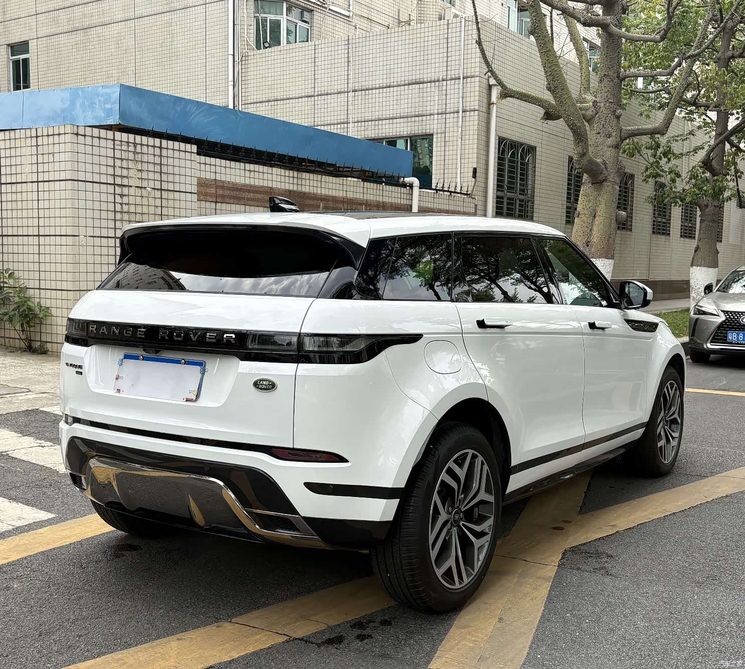 Land Rover Range Rover, 2024 6