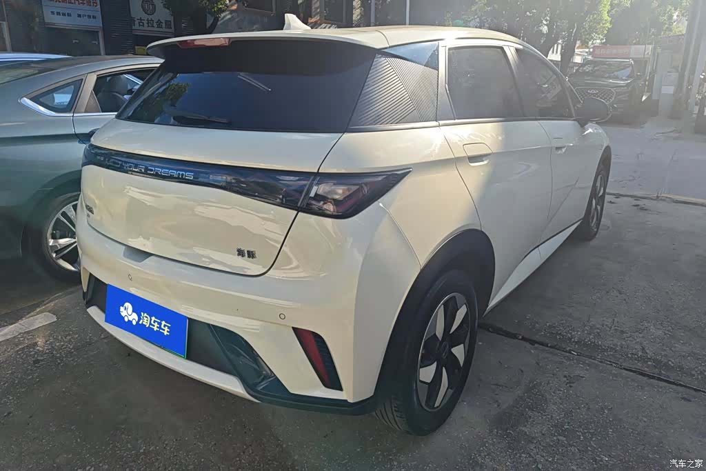BYD Dolphin, 2024 3