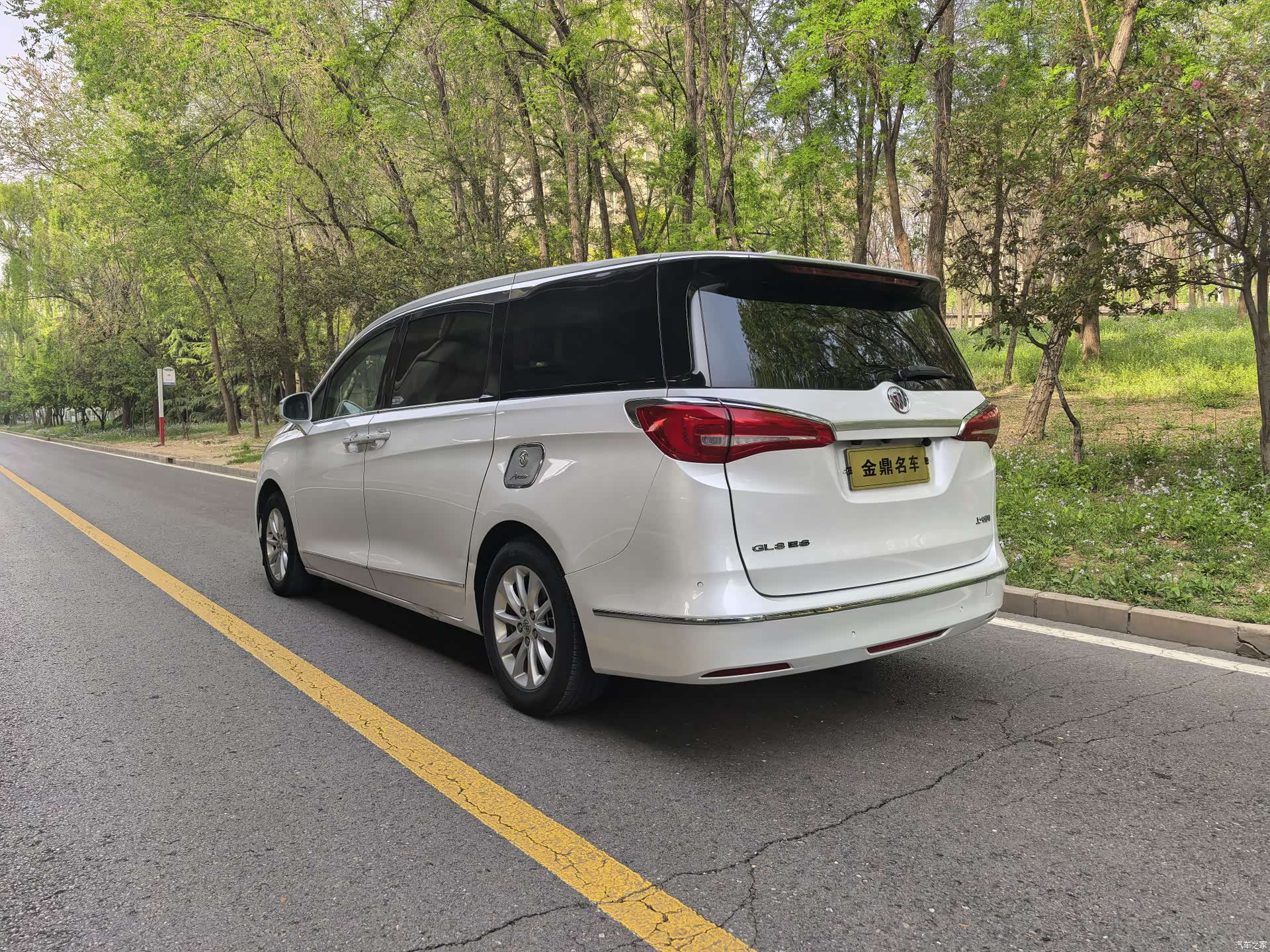 Buick GL8, 2019 6