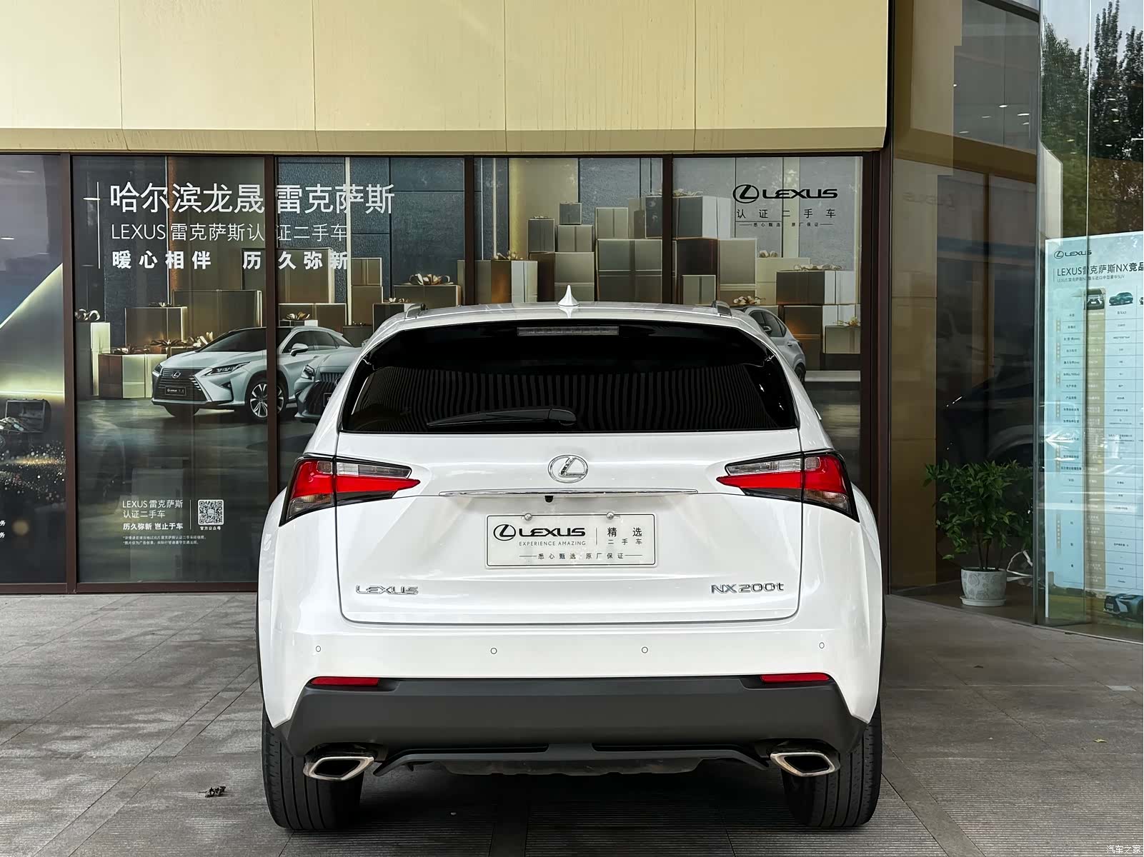 Lexus NX, 2017 3