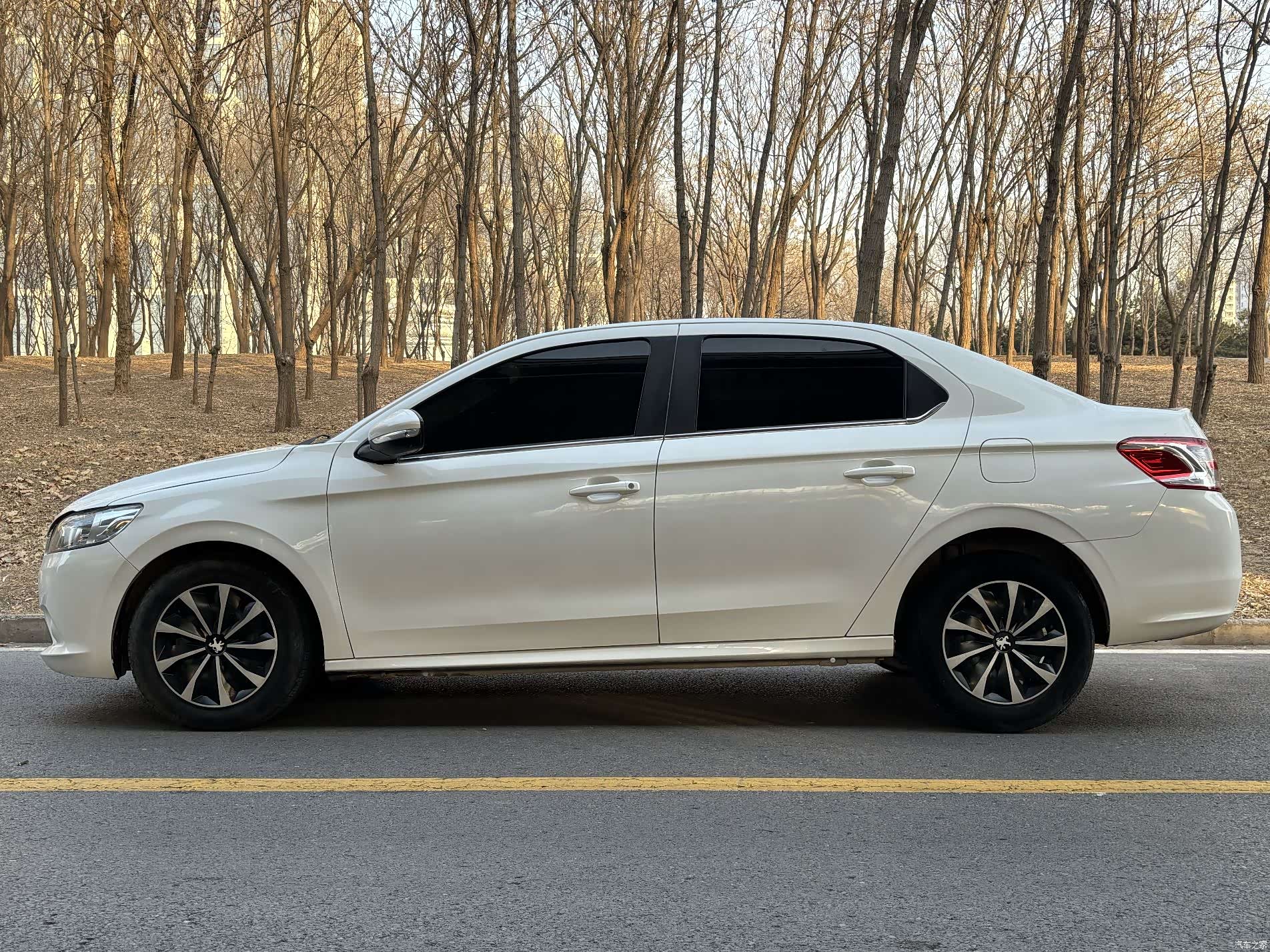 Peugeot 301, 2017 3