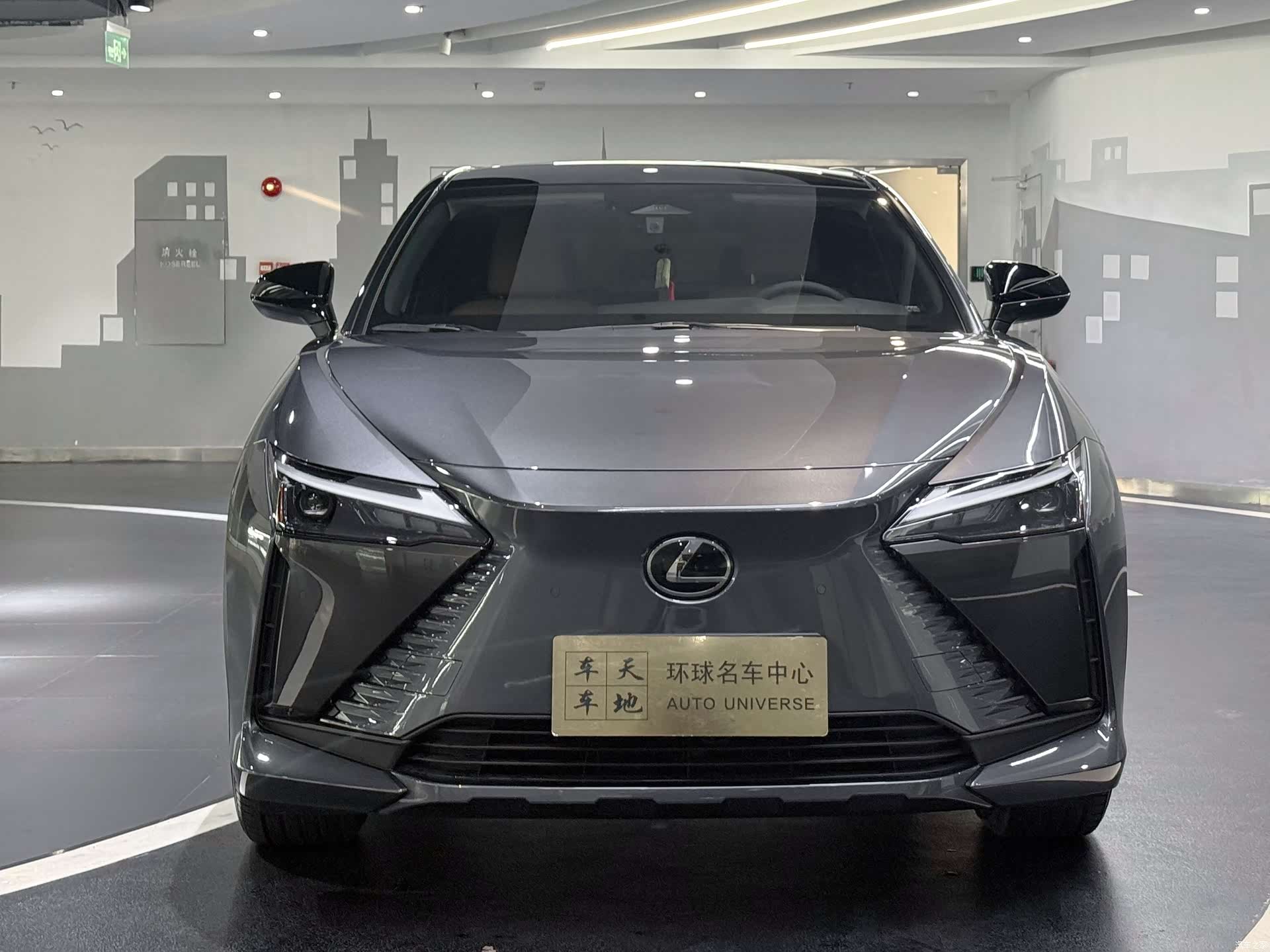 Lexus RZ, 2023 2