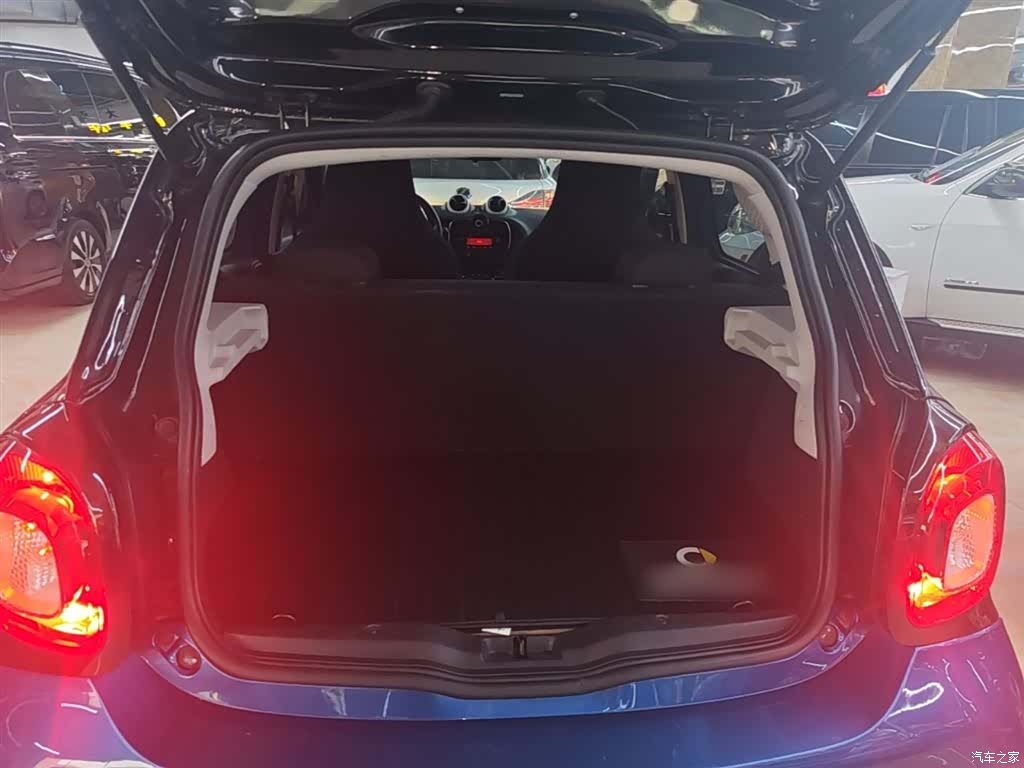 Smart Forfour, 2016 19