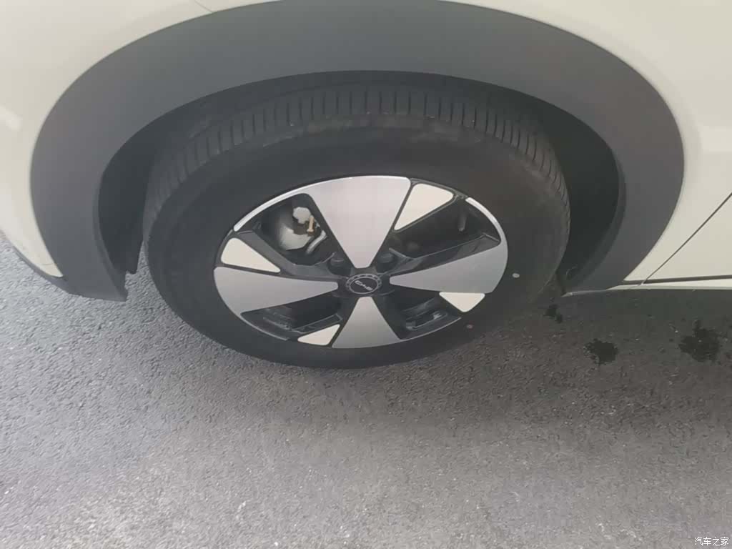 BYD Dolphin, 2023 23