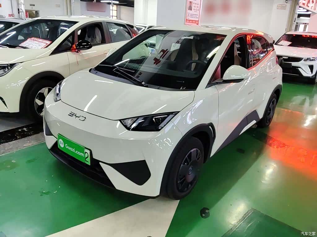 BYD Seagull, 2026 1