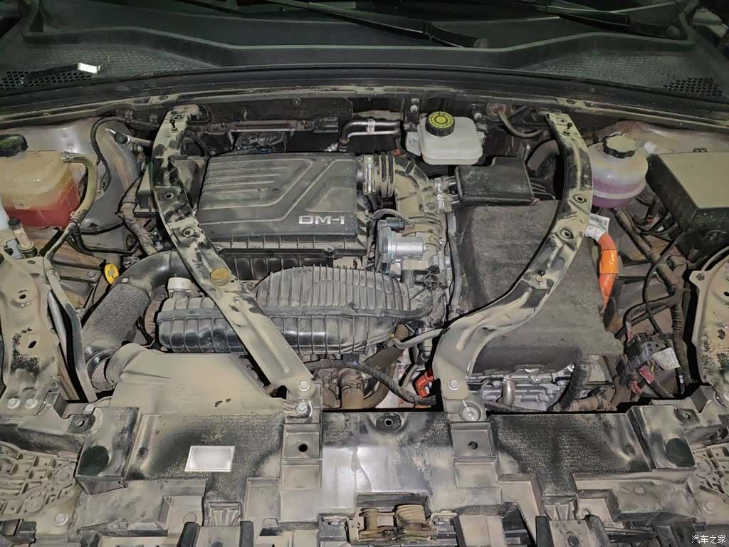 BYD Song, 2024 11