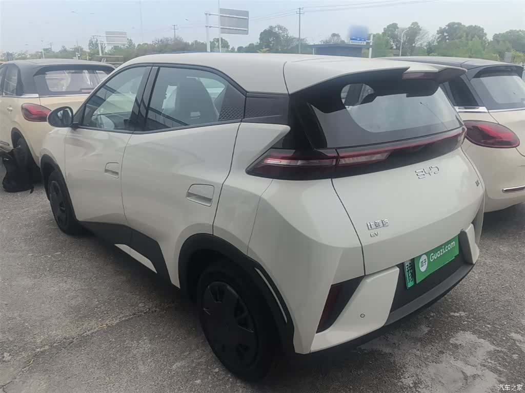 BYD Seagull, 2026 все фото
