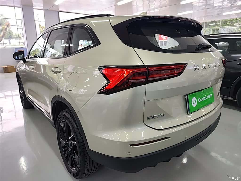 Haval H6, 2024 все фото
