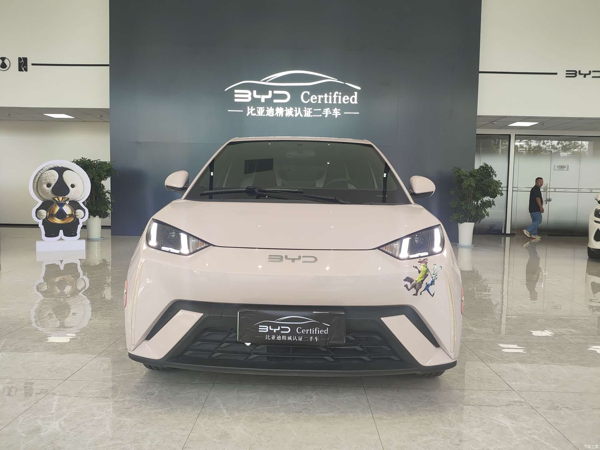 BYD Seagull, 2025 2