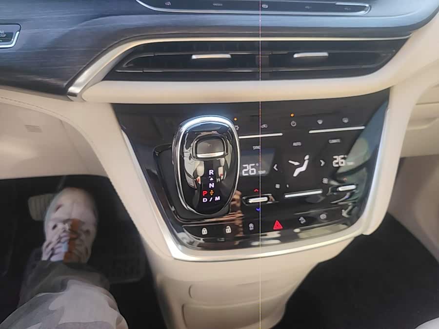 Buick GL8 2020, фото 10